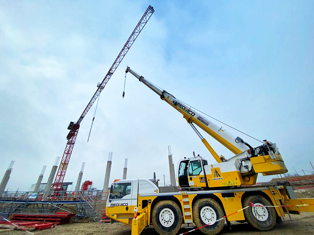 grues